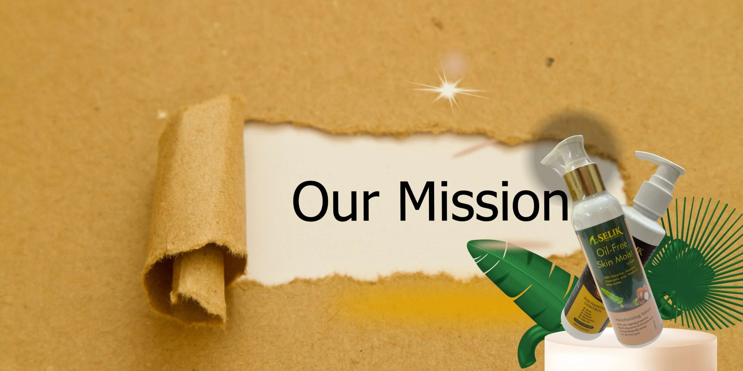 mission