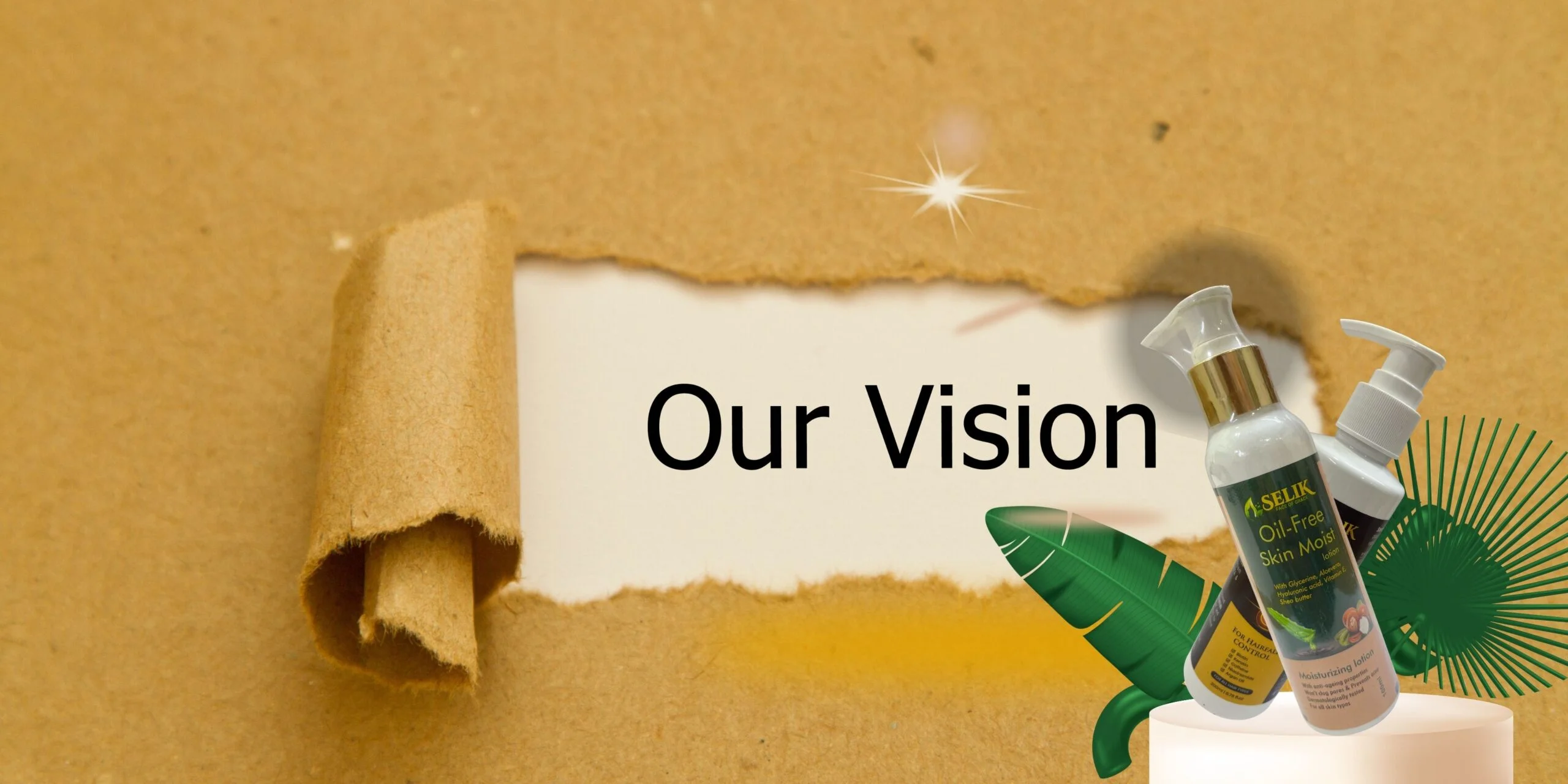 vision